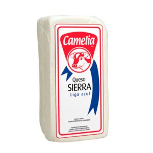 Camelia Liga Azul 3.5 X BARRA